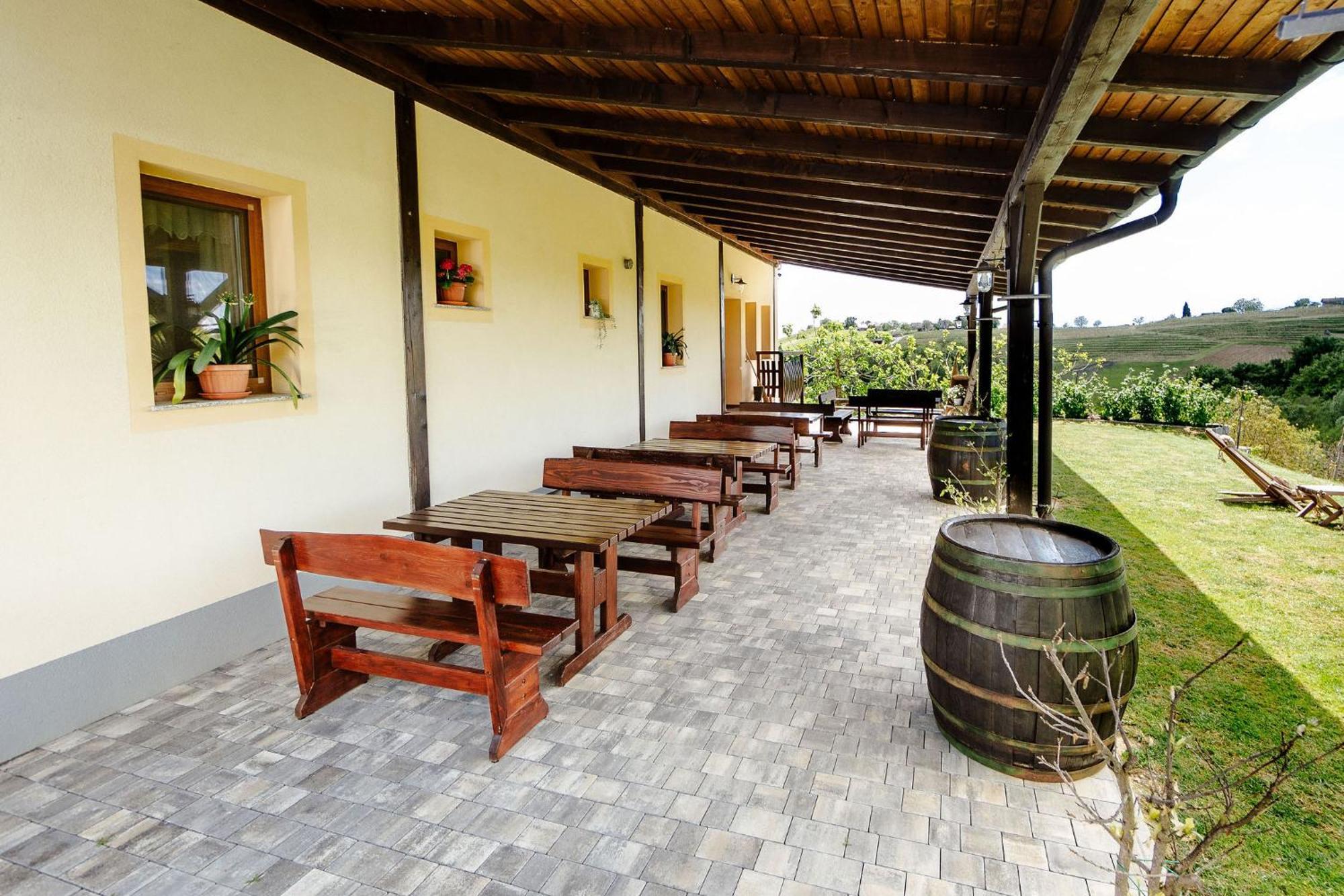 Zelena Oaza - B&B Miklavz pri Ormozu Exteriör bild